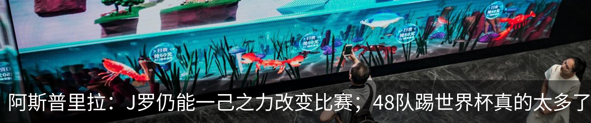 资讯动态